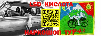 крисы Новозыбков