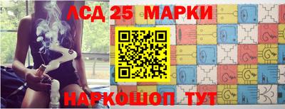 крисы Новозыбков
