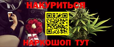 крисы Новозыбков